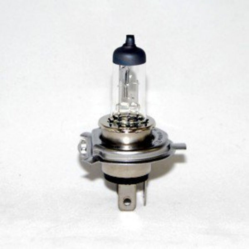 KC HiLiTES Halogen Replacement Bulb on a studio background: clear H4 halogen bulb with a dark tip cap on a light gray background