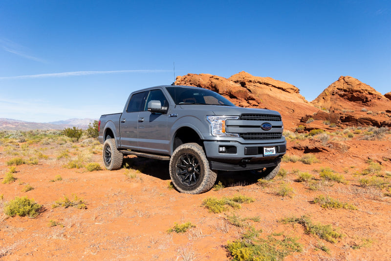ReadyLIFT Big Lift Kit installed on a Ford F-150: gray Ford F-150 crew cab lifted on black wheels in red desert terrain under blue sky