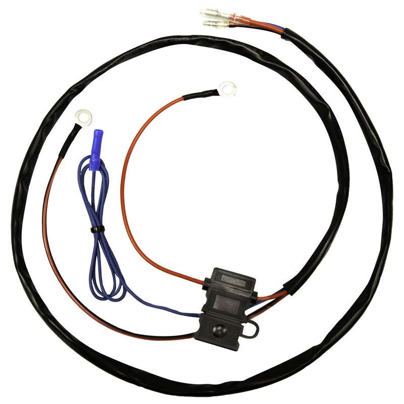 Rigid Adapt XE Wire Harness on a studio background: black wire harness with an inline fuse holder, blue and orange leads and ring terminals on a white background