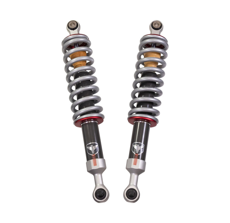 ReadyLIFT Premium Falcon 2.1 Standalone Front Set, full kit on a studio background: pair of Falcon 2.1 coilovers with gray springs and red collars on white