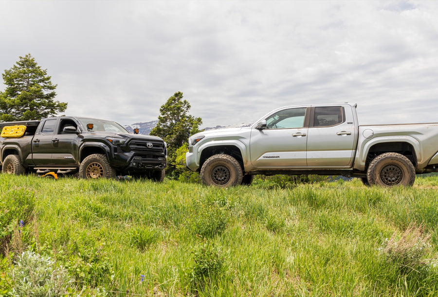ReadyLIFT SST3.3 Suspension System installed on a Toyota Tacoma: A black and a silver lifted Toyota Tacoma parked in a green meadow