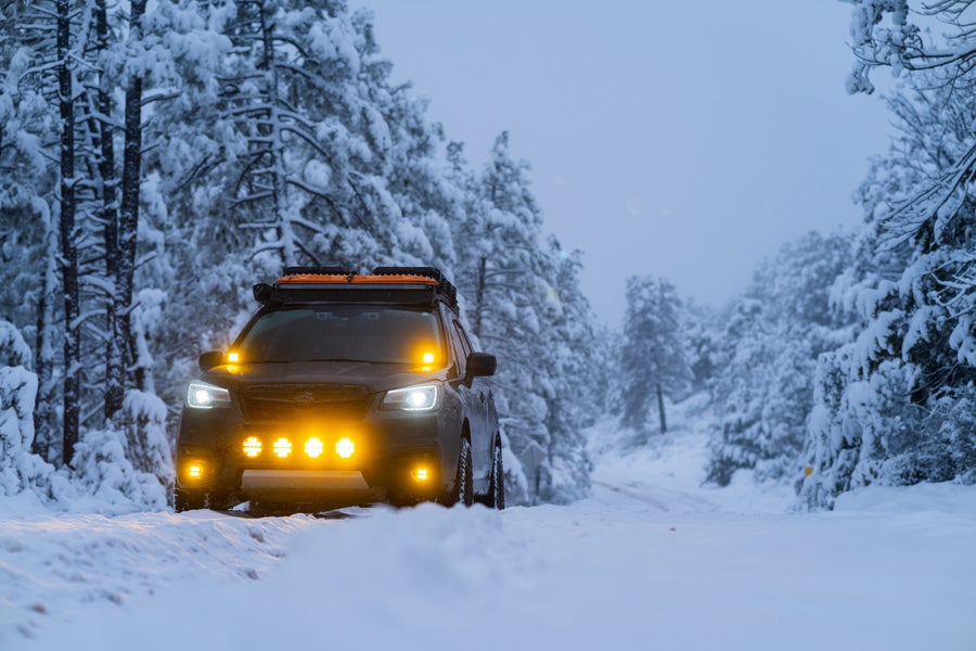 D-Series Pods by Rigid: A Subaru Forester on a snowy forest road with amber cowl pods and amber bumper lights lit.