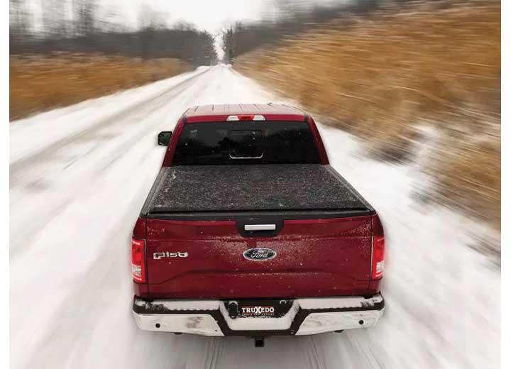 TruXedo Pro X15 soft roll-up tonneau cover closed on a 2015-2020 Ford F-150, straight rear view, on a snow-covered road, motion-blurred, photographed on location